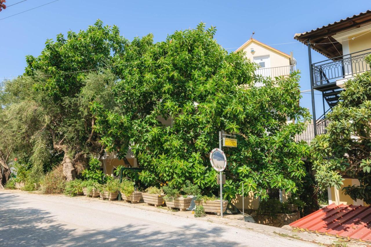 Studio Timotheos Marathias  Luaran gambar