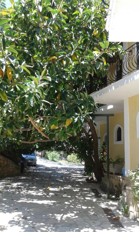 Studio Timotheos Marathias  Luaran gambar